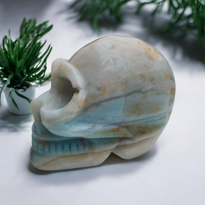 Carribean Calcite Skull #1