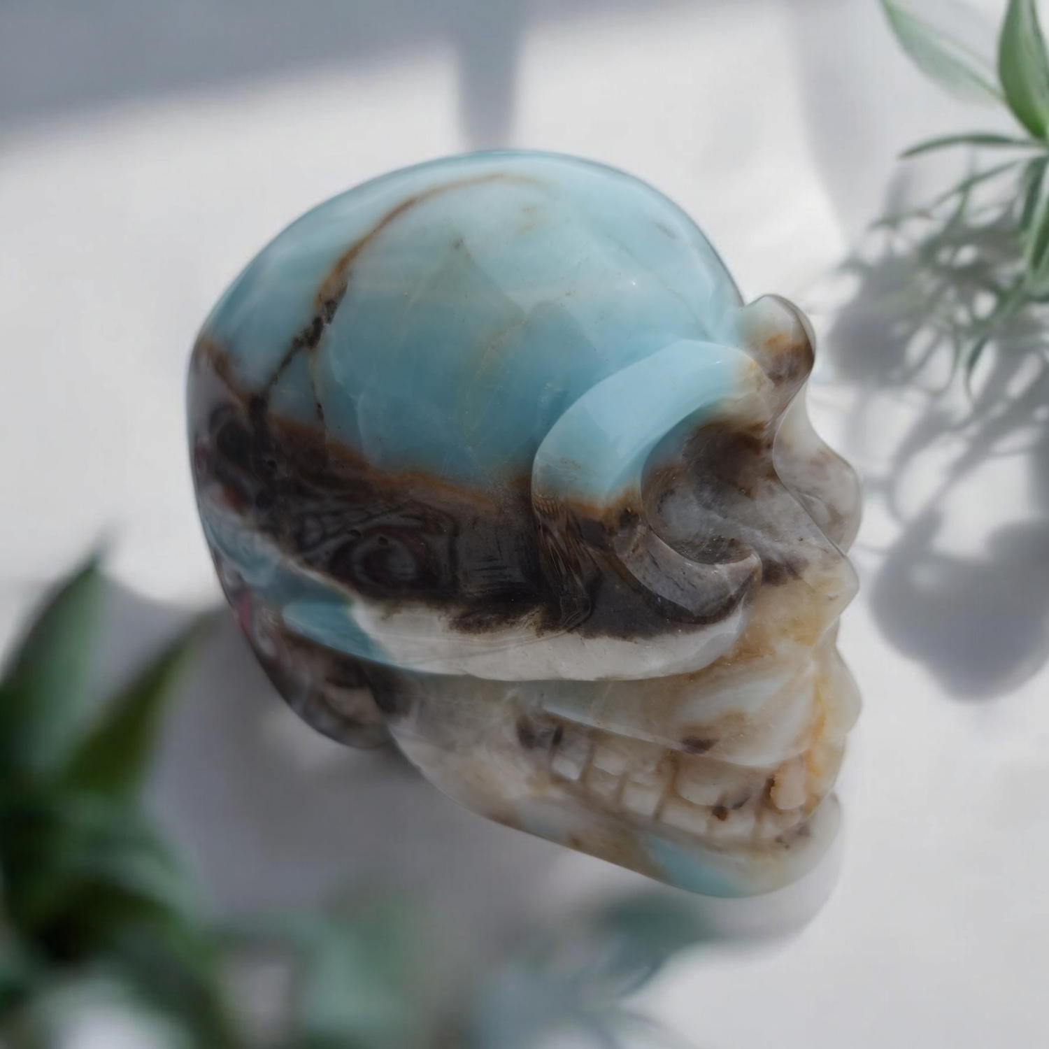 Carribean Calcite Skull #2