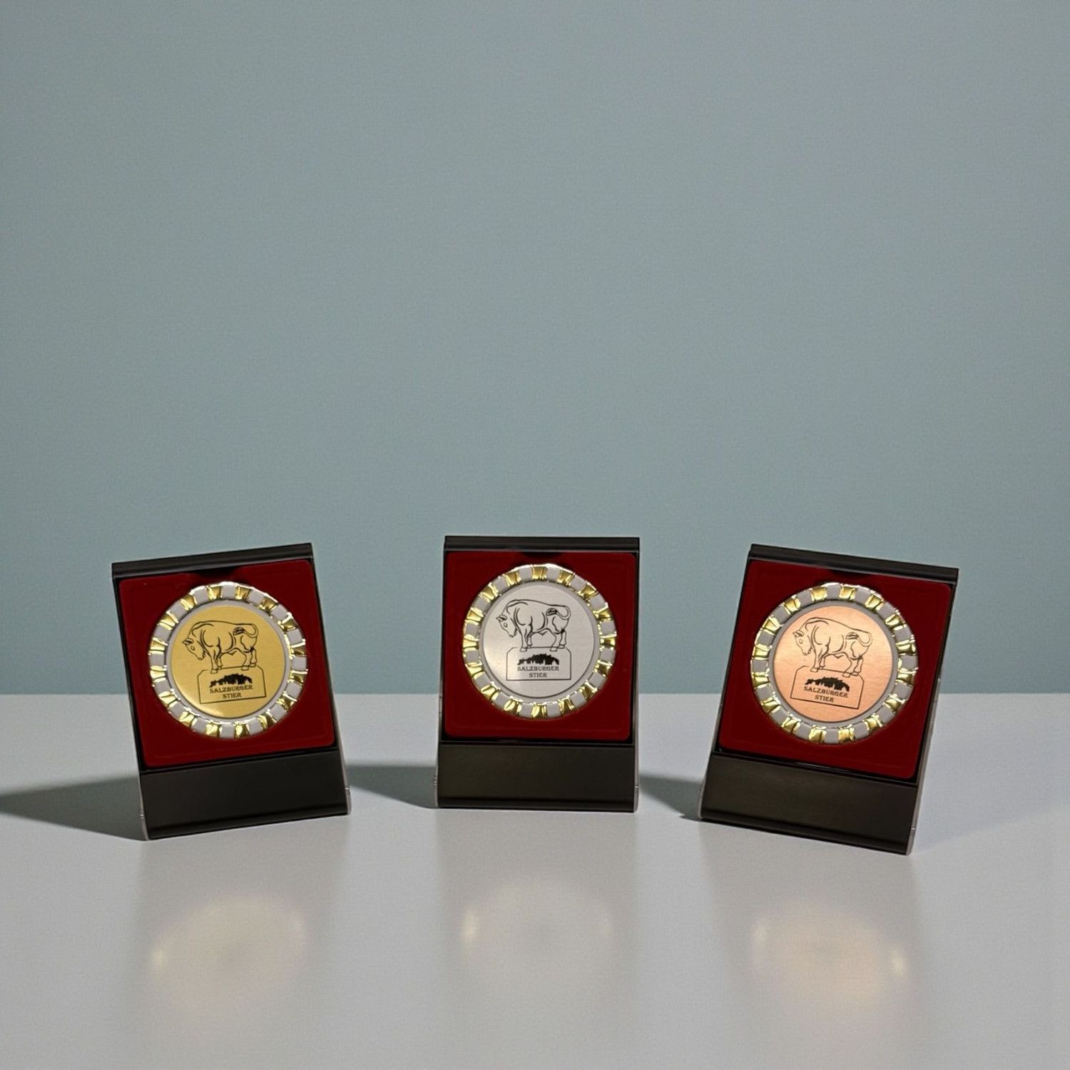 Salzburger Stier Ehrenkassette mit Medaille in Gold, Silber und Bronze