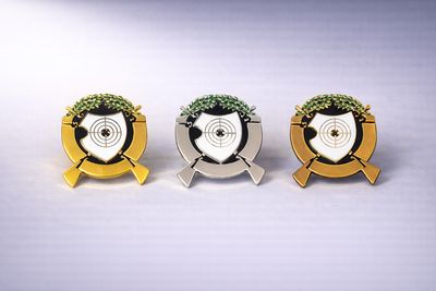 Schützenabzeichen Zielscheibe mit Eichenlaub und Gewehren in Gold Silber Bronze
