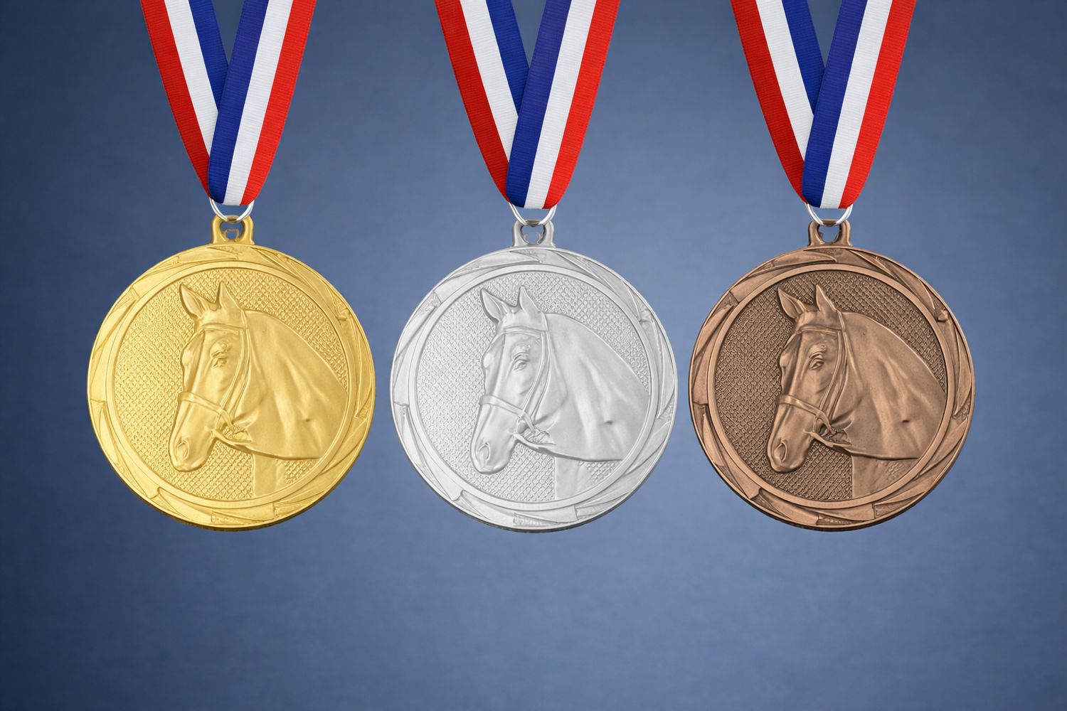 Reitsportmedaille geprägt Ø 4,5 cm, ab € 2,00 Reitsportmedaille geprägt, gold, silber, bronze mit Medaillenband