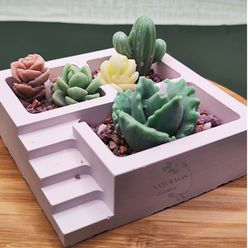 Quadrata terrarium