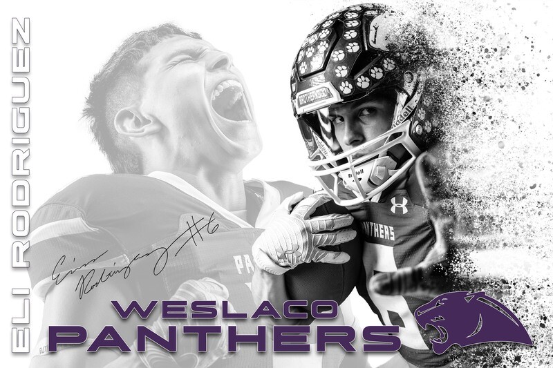 Mono Purple Dispersion PSD Template