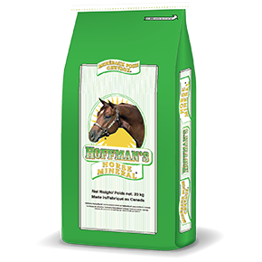 CJ HOFFMANS MAINTENANCE MINERAL 20KG