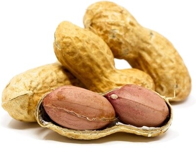CR PEANUTS IN SHELL 20KG