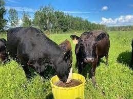 CJ MOOGOO 40% PROTEIN 100KG
