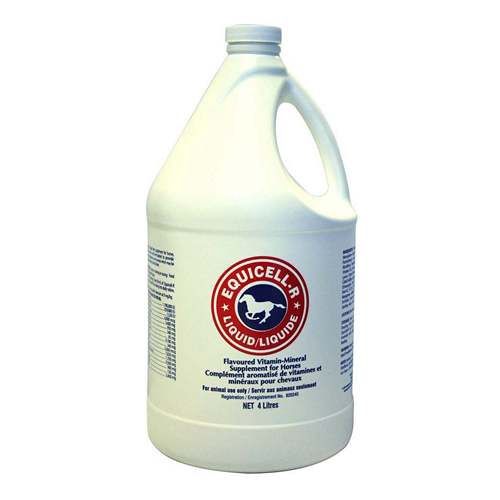 KV LIQUID EQUICELL.R 4L