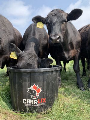 NR ECO 7% MINERAL &amp; SALT LICK TUB 90.7KG