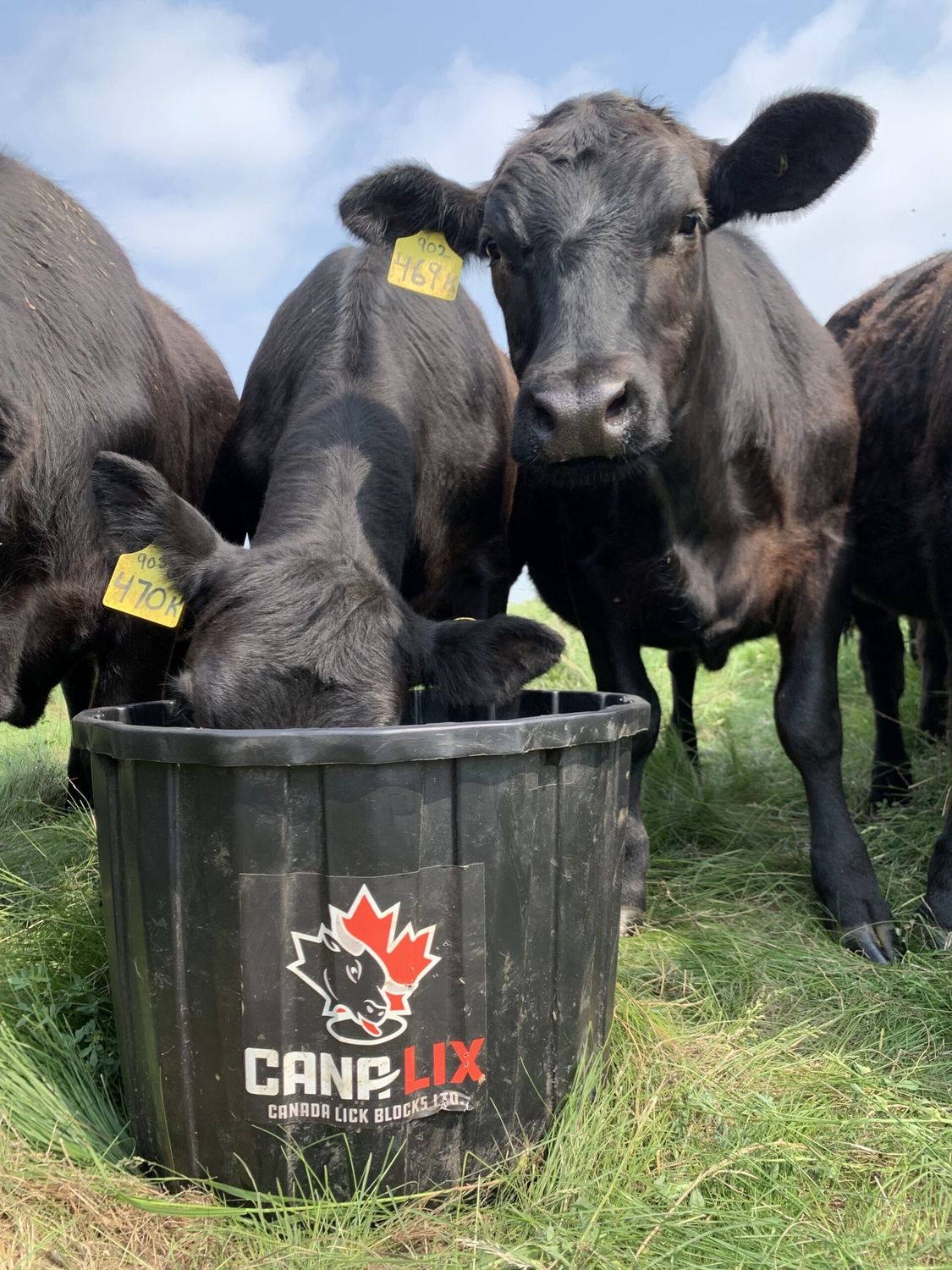 NR PASTURE PLUS 32% TUB 90.7KG
