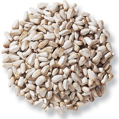 CR SAFFLOWER SEED 20KG