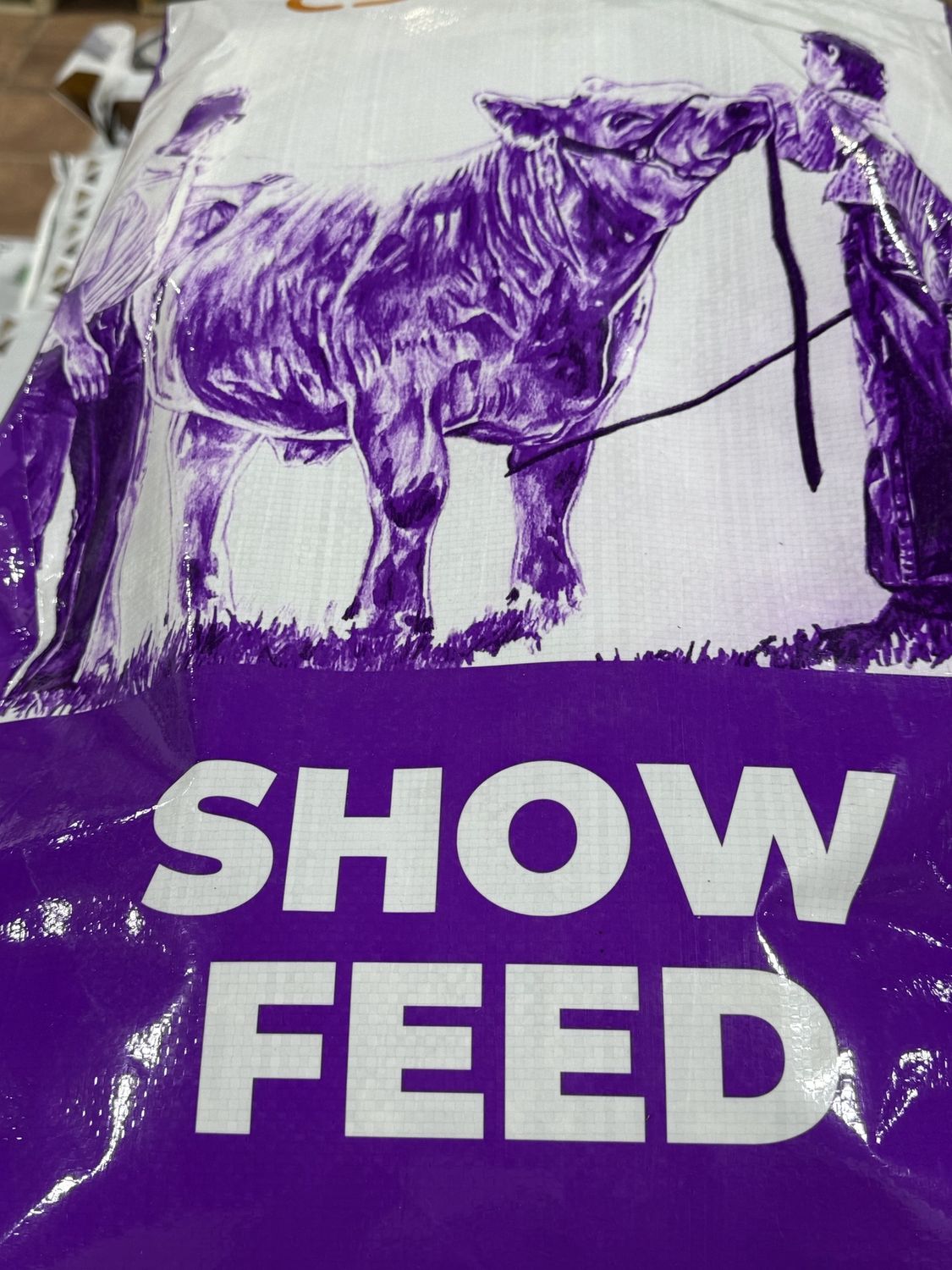 SHOW CATTLE PRIMER  CJ