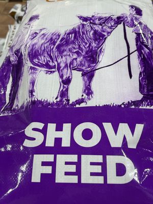SHOW CATTLE PRIMER  CJ