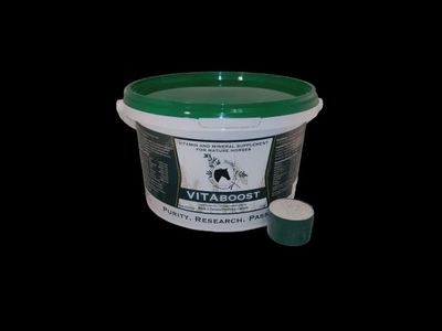 HH VITABOOST POWDER 1.5KG