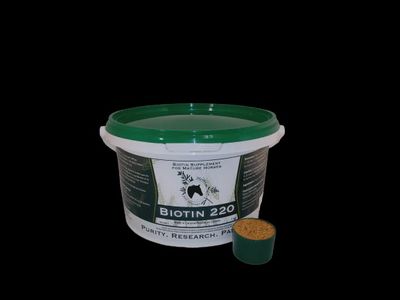 HH BIOTIN 2KG