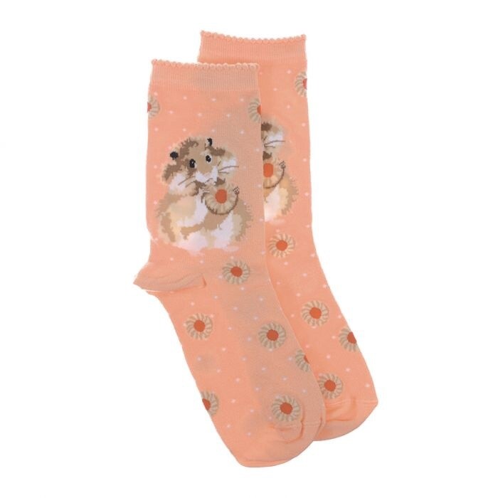 Wrendale Socks, Diet Starts Tomorrow