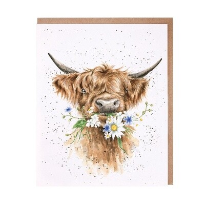Wrendale Card, Daisy Cow