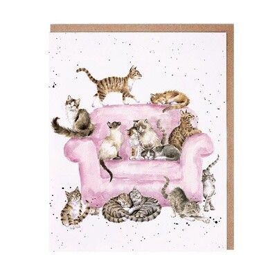 Wrendale Card, Cattitude