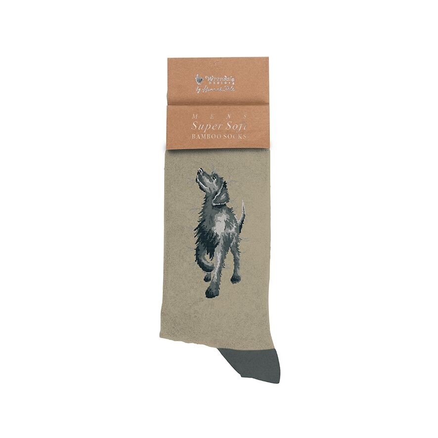 Wrendale Mens Socks, Walkies