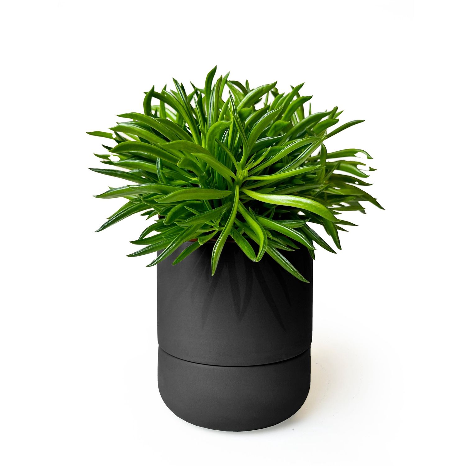 Ryan Self-Watering Pot, Colour: Charcoal