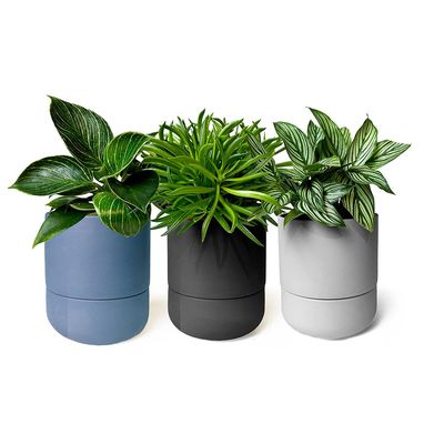 Ryan Self-Watering Pot