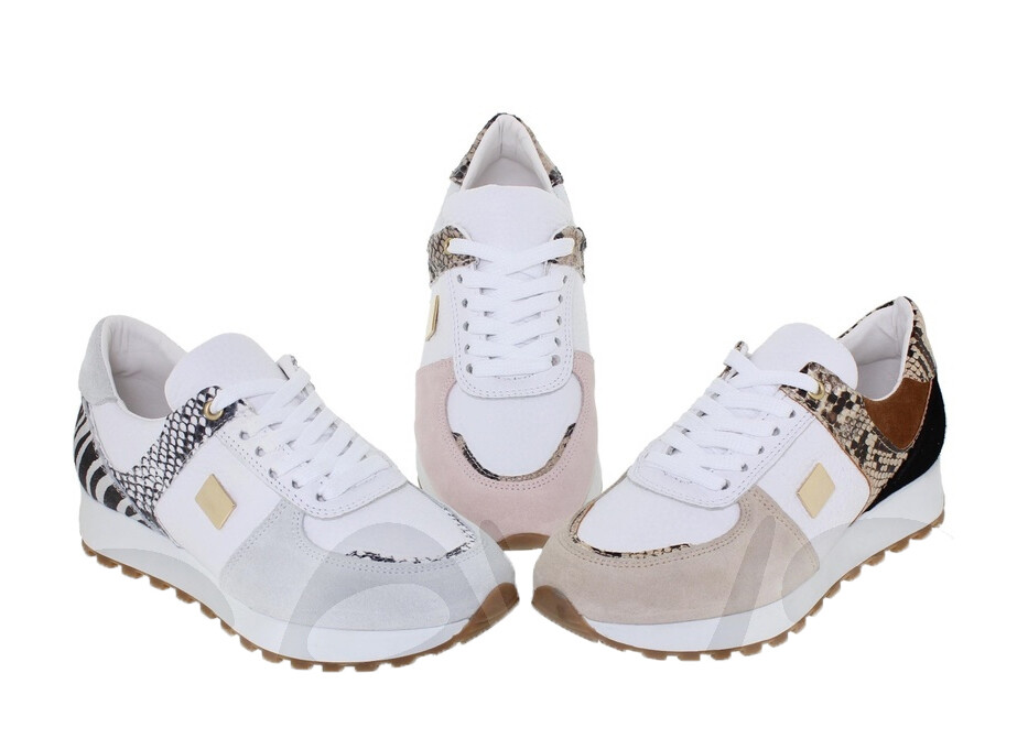 ��������� �������