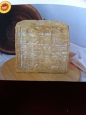 Formaggi