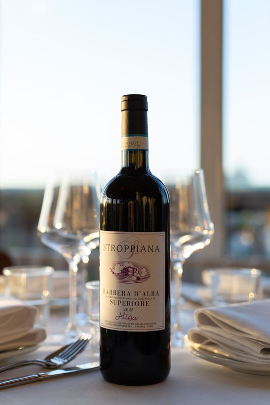 Barbera d'Alba Superiore DOC - Altea 2023