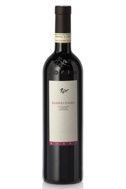 Barbera d'Alba DOC 2023