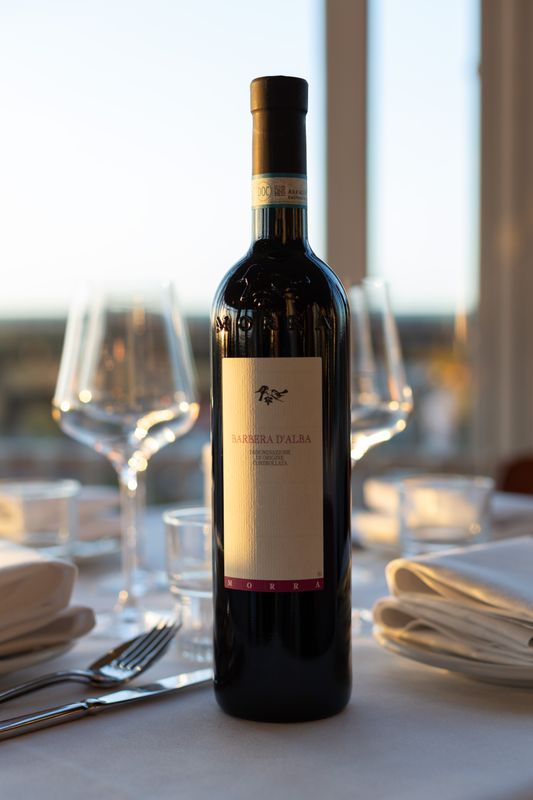 Barbera d'Alba DOC 2023
