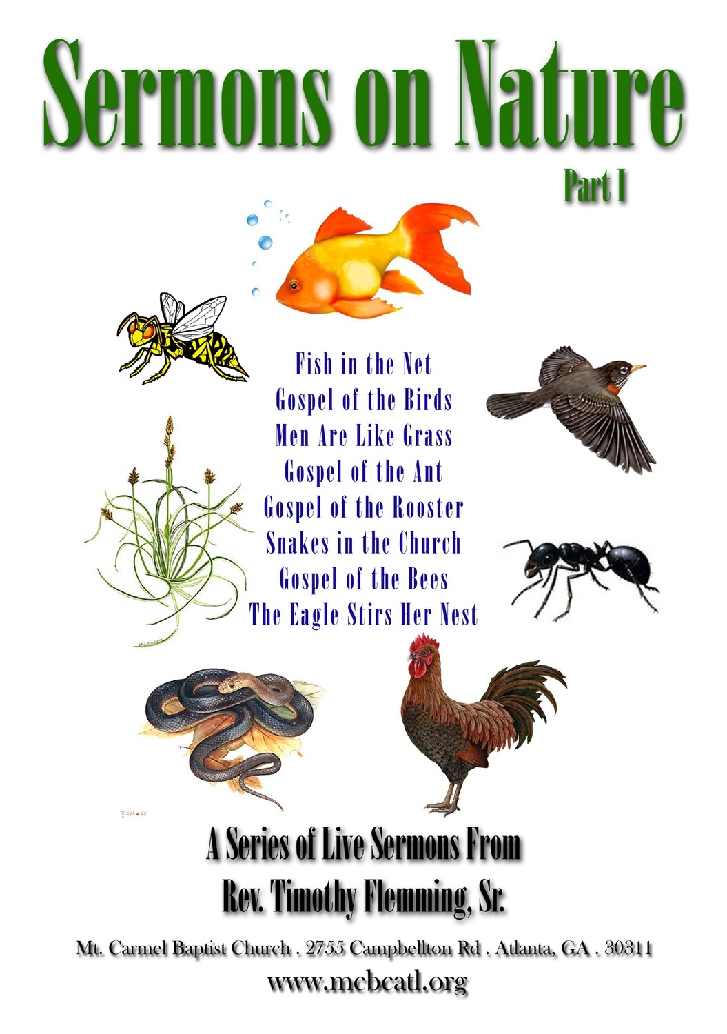 The Nature Series pt. 1 (CD)