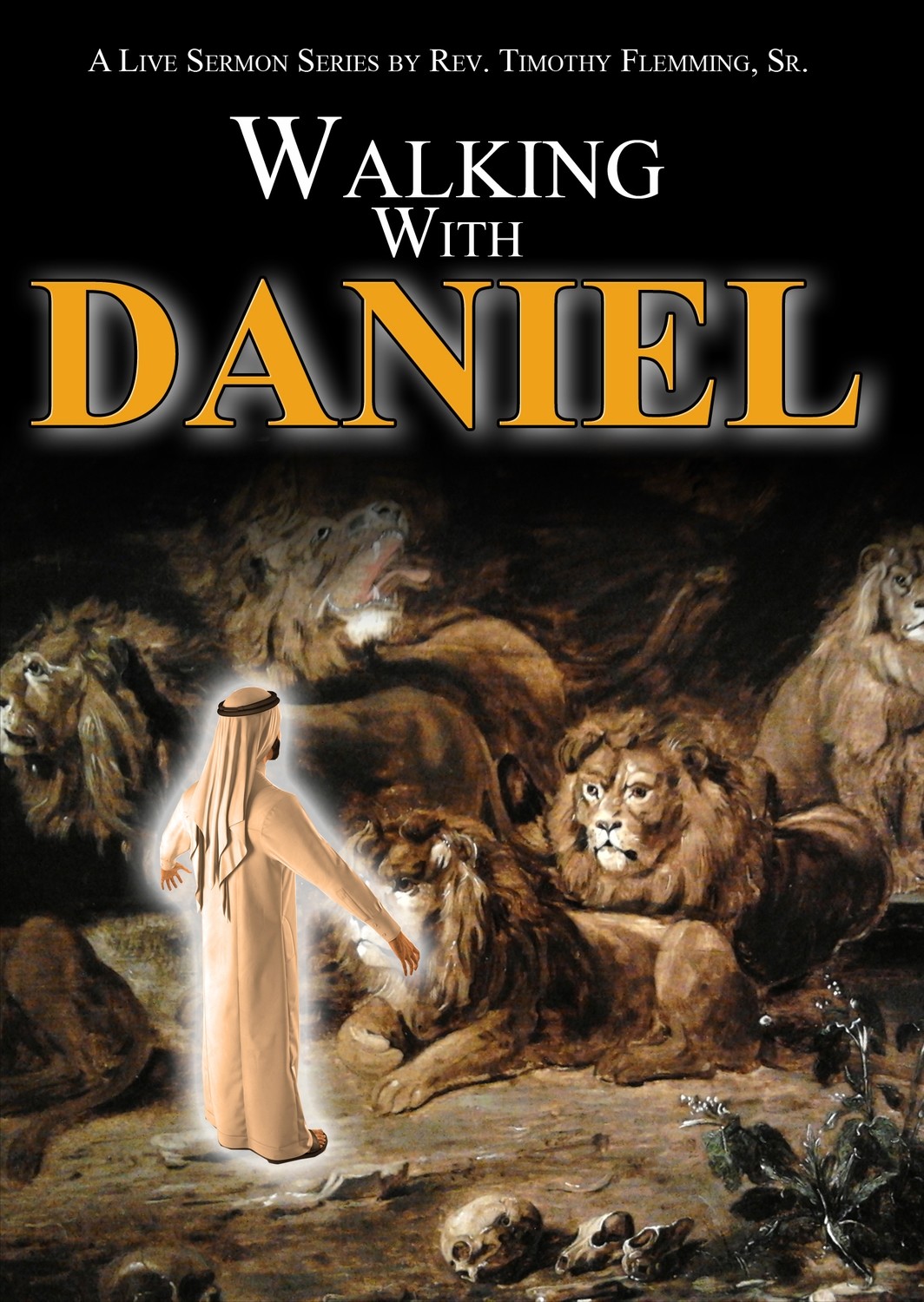 The Daniel Series (CD)