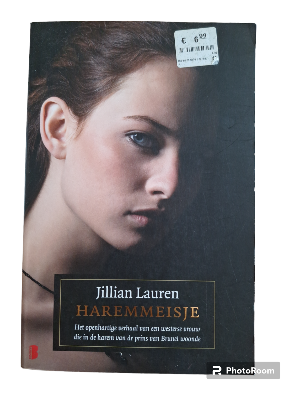 Het Haremmeisje van Jilian Lauren