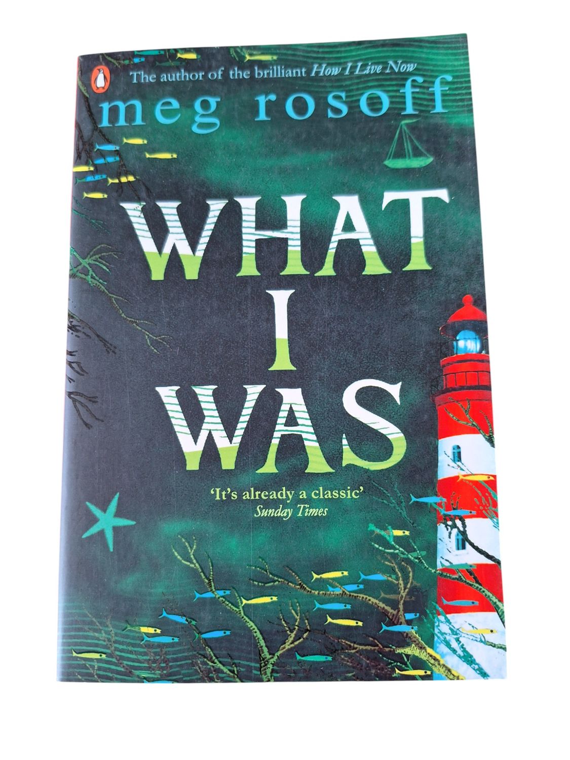What i was - Meg Rosoff