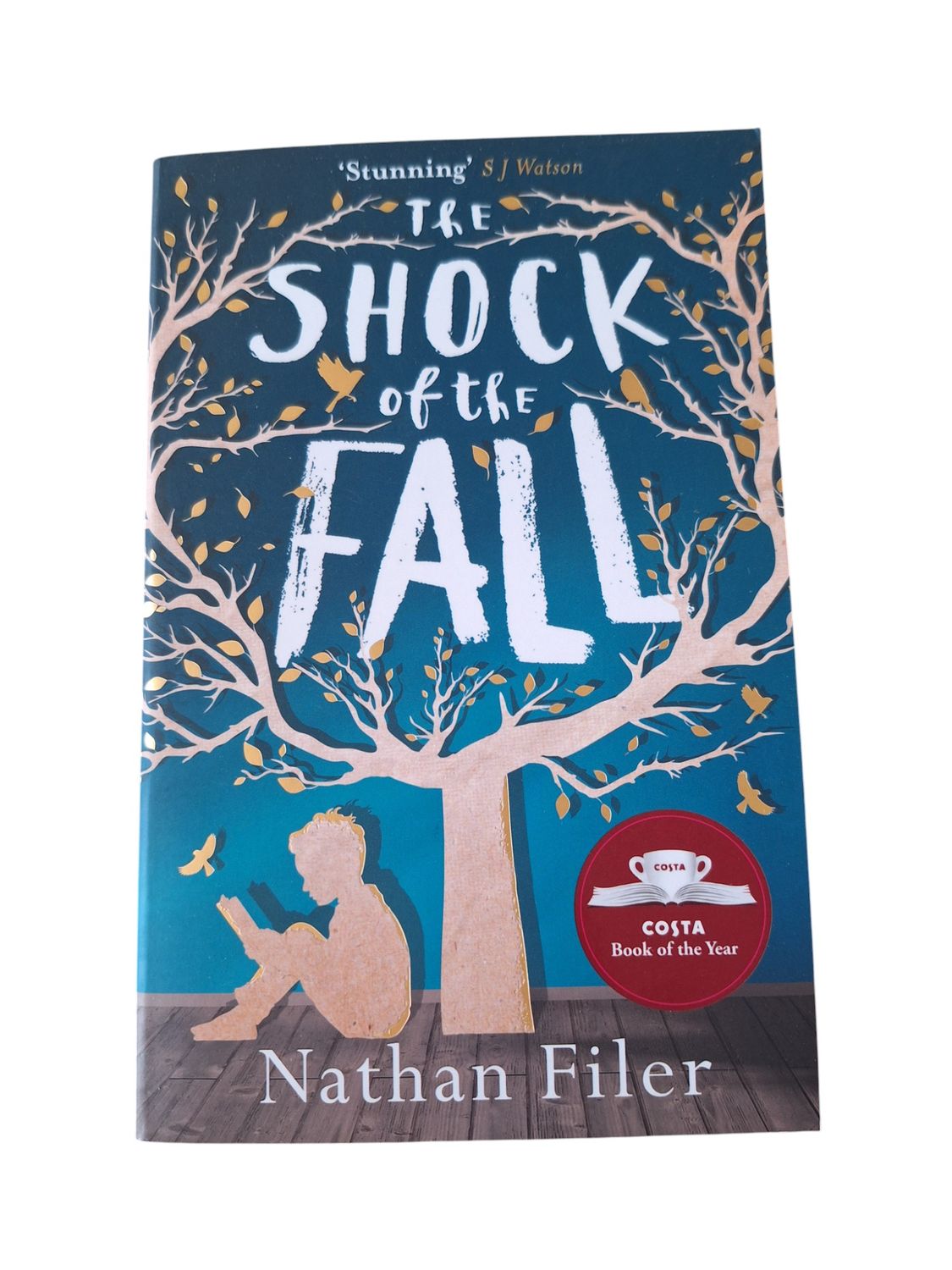 The Shock of the fall - Nathan Filer