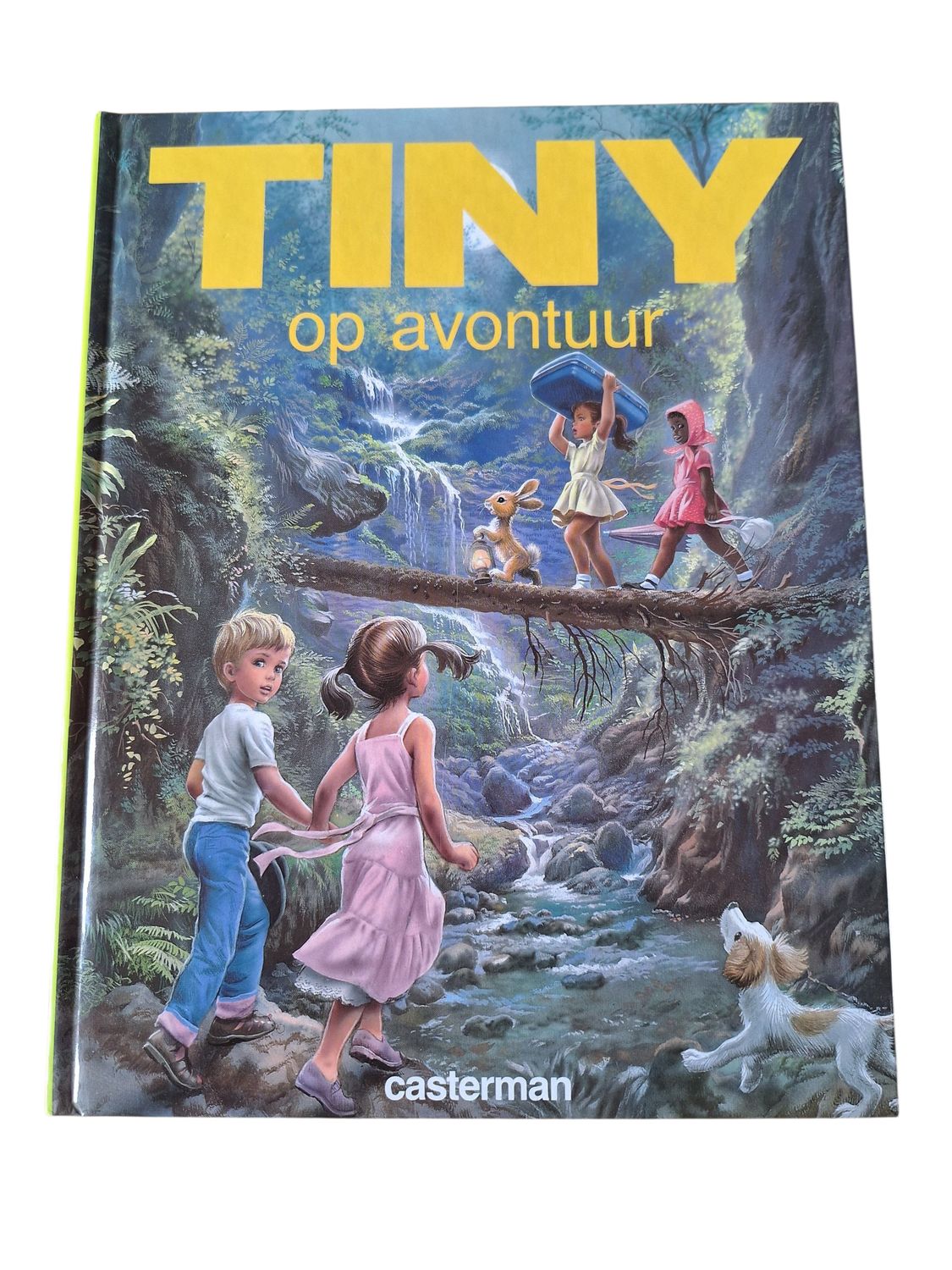 Verhalenbundel Tiny op avontuur