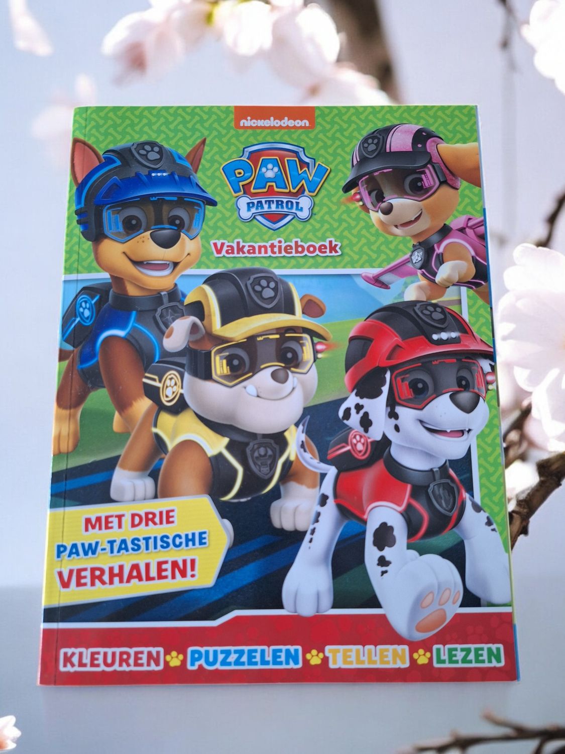 Paw Patrol vakantieboek