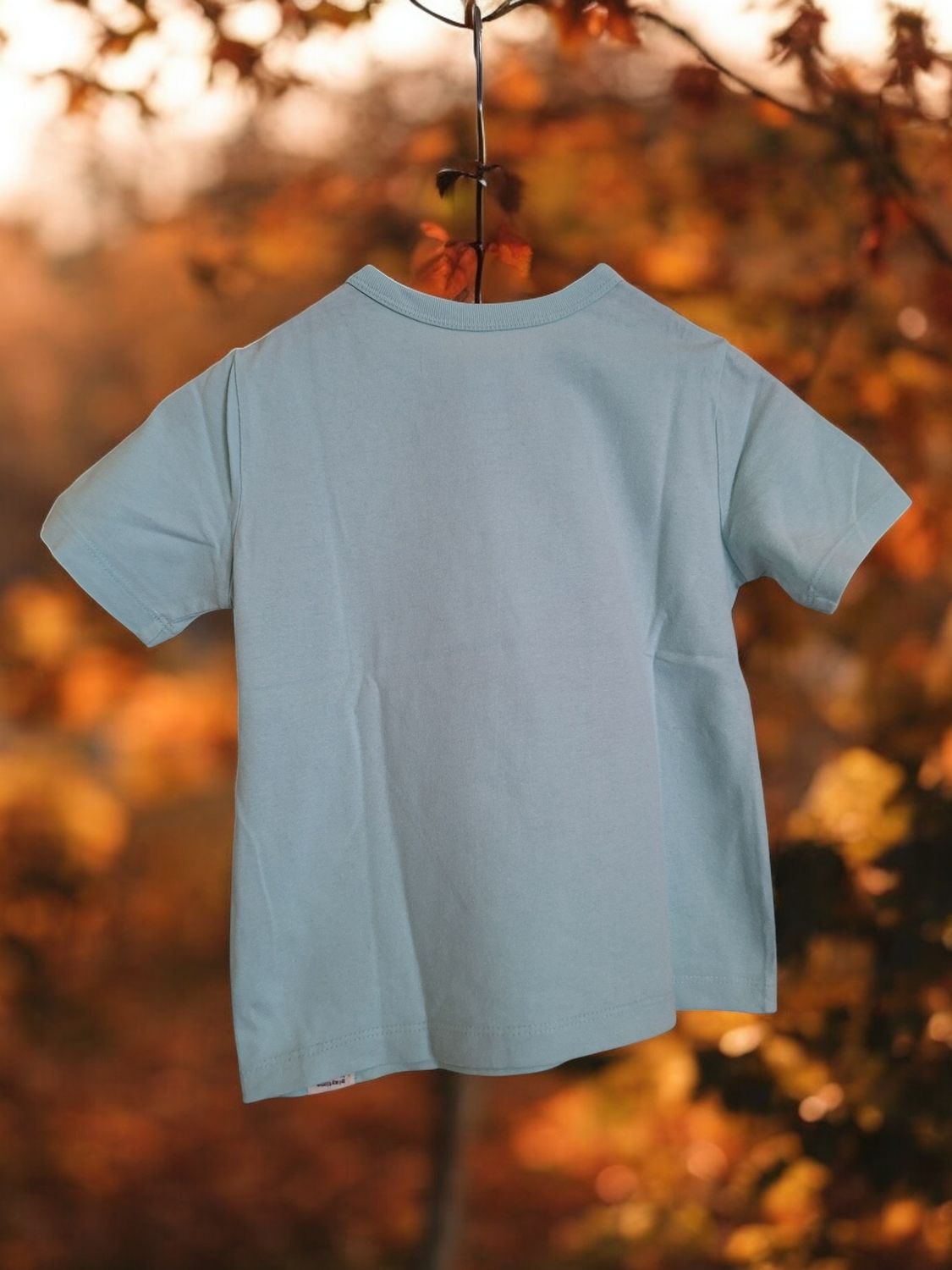 T-shirt GAP haai