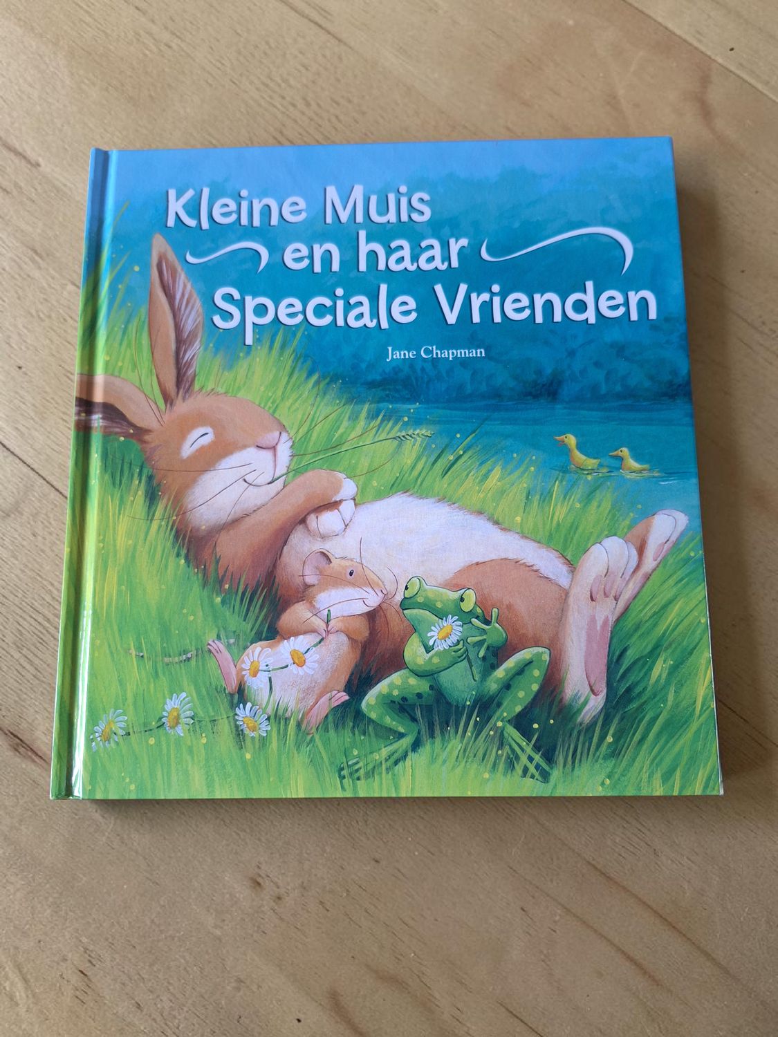 Kleine muis en haar speciale vrienden - Jane Chapman