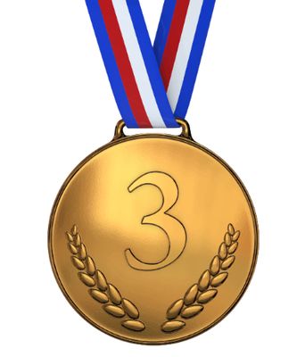 Business Sponsorship Bronze