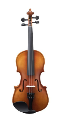 Violon AMADEUS VP201