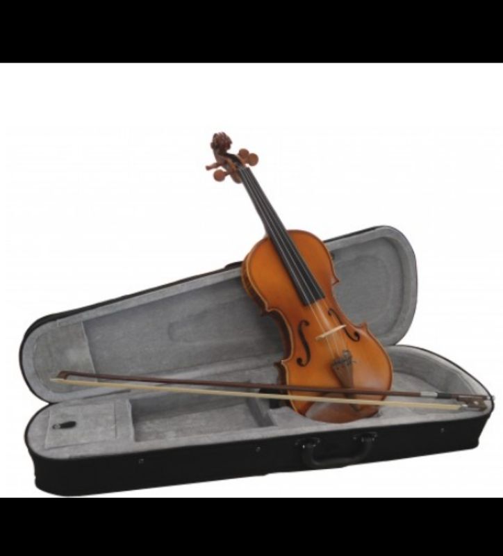 VIOLON