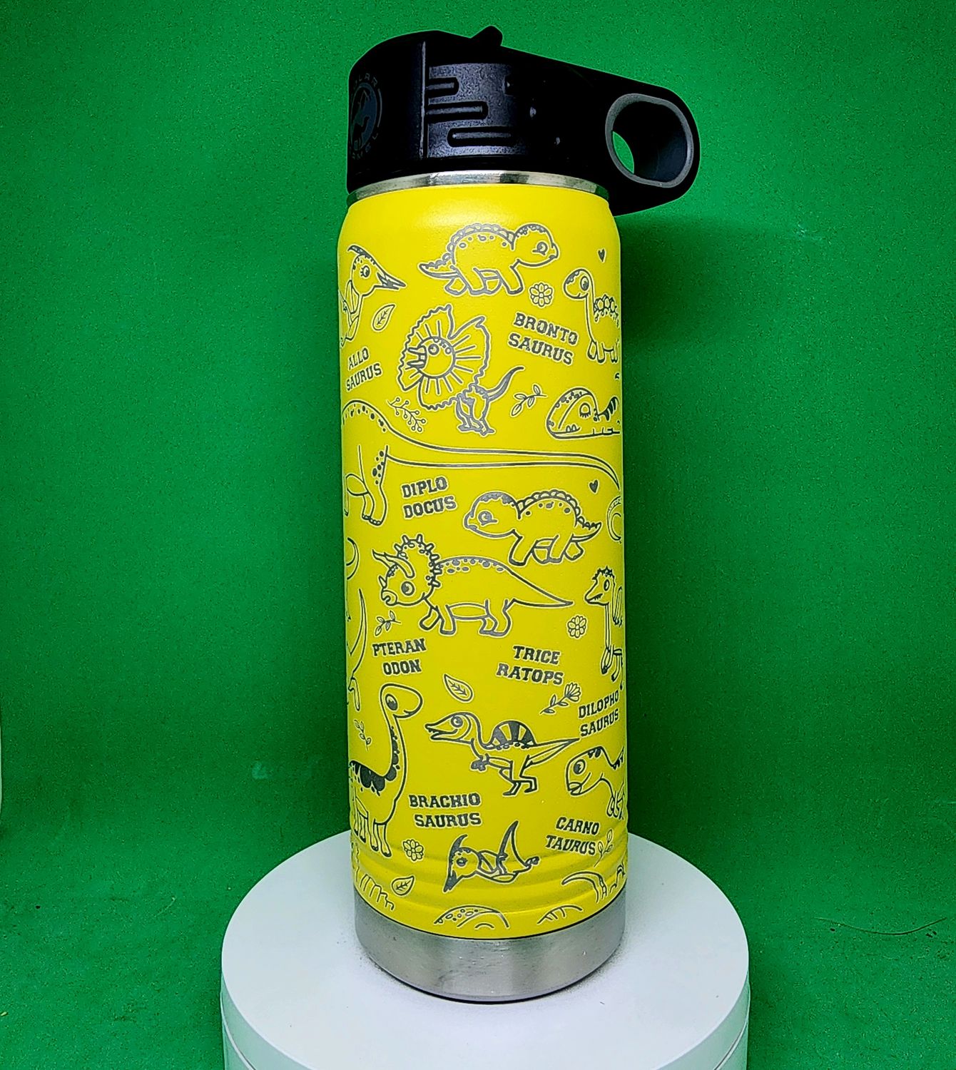 Insulated Bottle Dinosaur Wrap Laser Engraved 20 oz Insulated Bottle