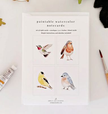 Backyard Birds Paintable Notecards