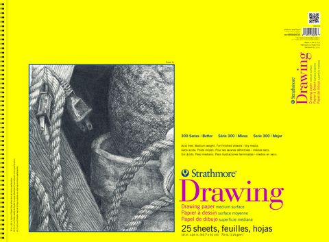 #300 DRAW PAD 18X24 WIRE 25