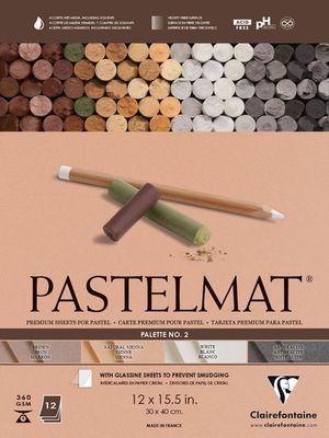CLAIREFONTAINE PASTELMAT 12X15.5 PALETTE 2 ASSORTED 12 SHEETS