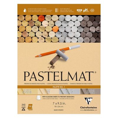 CLAIREFONTAINE PASTELMAT 7X9.5 PALETTE 1 ASSORTED 12 SHEETS