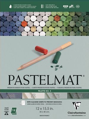 CLAIREFONTAINE PASTELMAT 12X15.5 PALETTE 5 ASSORTED 12 SHEETS
