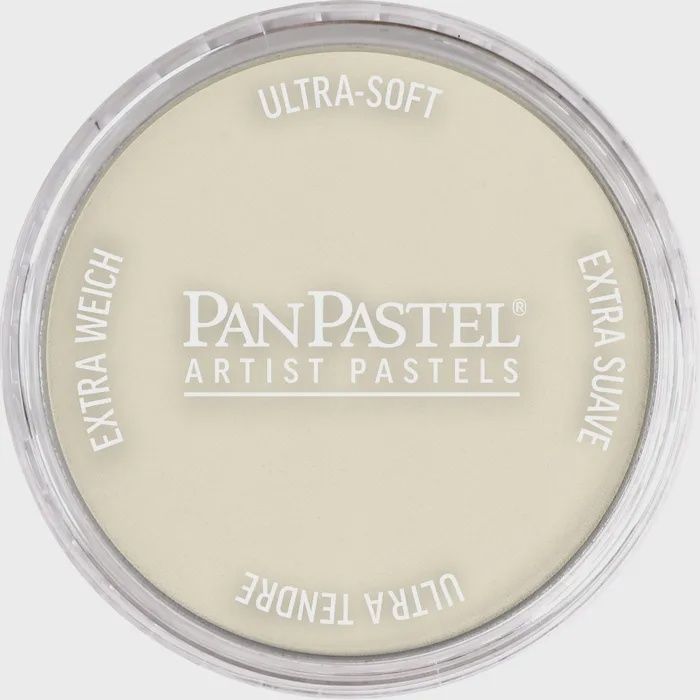 PANPASTEL ARTISTS PASTEL RAW UMBER TINT