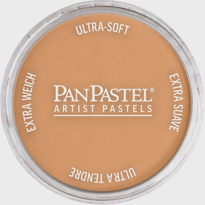 PANPASTEL ARTISTS PASTEL METALLIC BRONZE