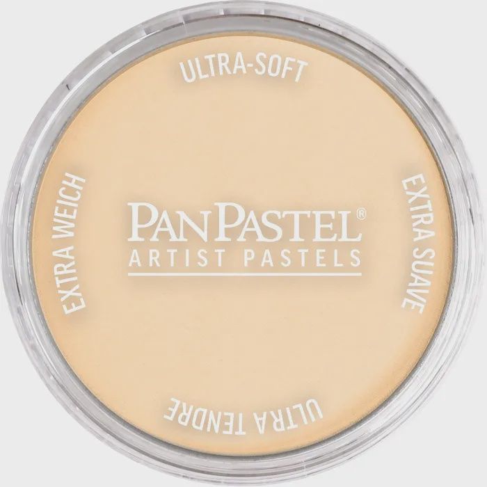 PANPASTEL ARTISTS PASTEL ORANGE TINT